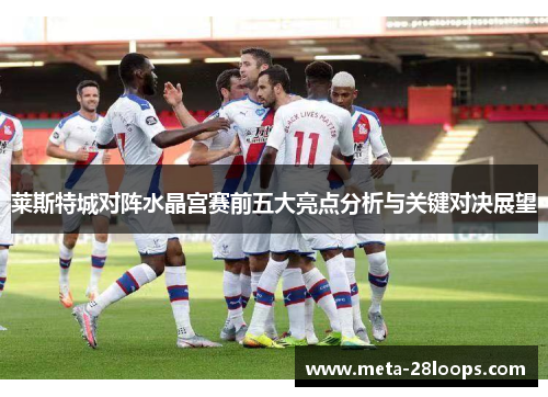 莱斯特城对阵水晶宫赛前五大亮点分析与关键对决展望 莱斯特城对阵水晶宫赛前五大亮点分析与关键对决展望